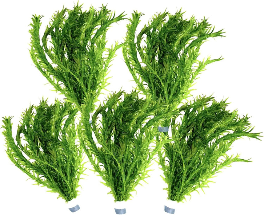 Wasserpest - Elodea Densa im Bund / 5 Bund im Set - Water - Plants
