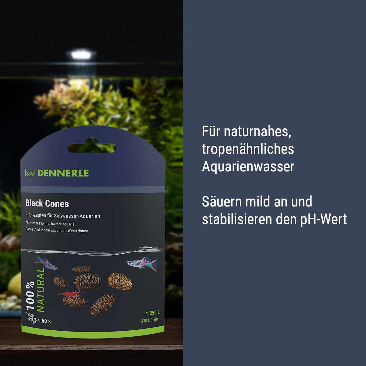 Dennerle Black Cones – Erlenzapfen fuer Aquarien – Herstellerbild 4
