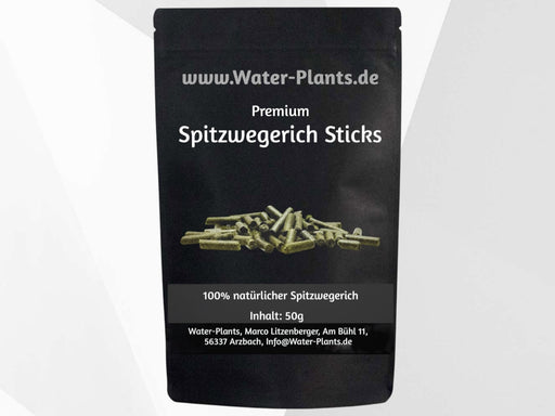50g Premium Spitzwegerich Sticks (99,80€/1kg) - Water - Plants