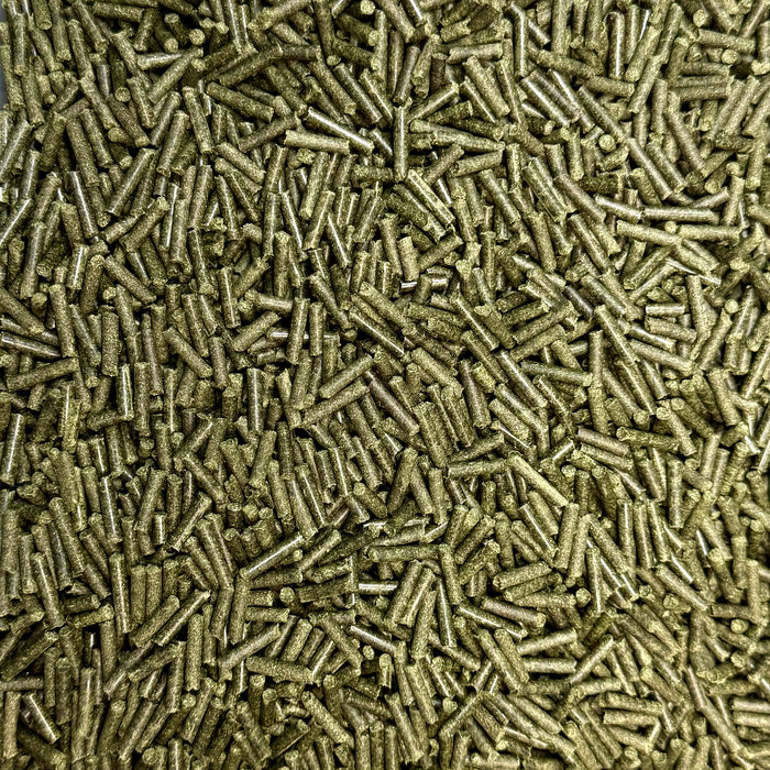50g Premium Brennnessel Sticks (99,80€/1kg)