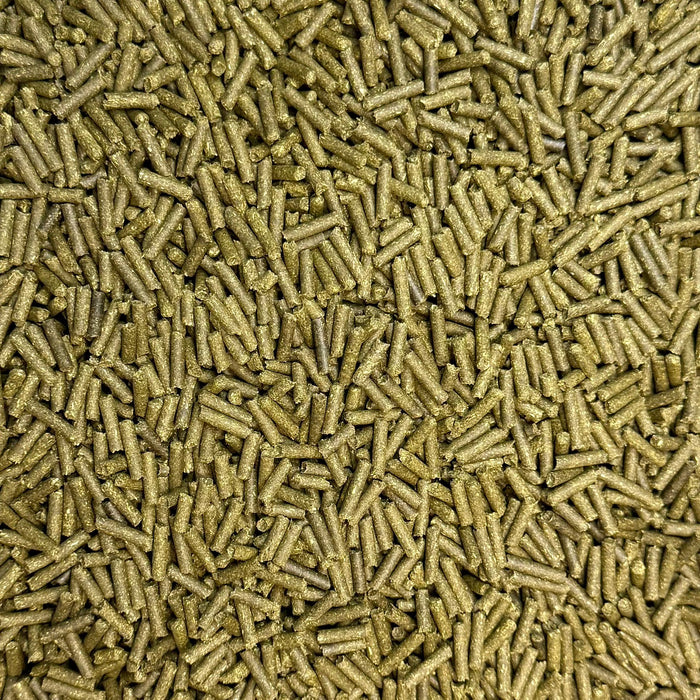 50g Premium Spitzwegerich Sticks (99,80€/1kg)