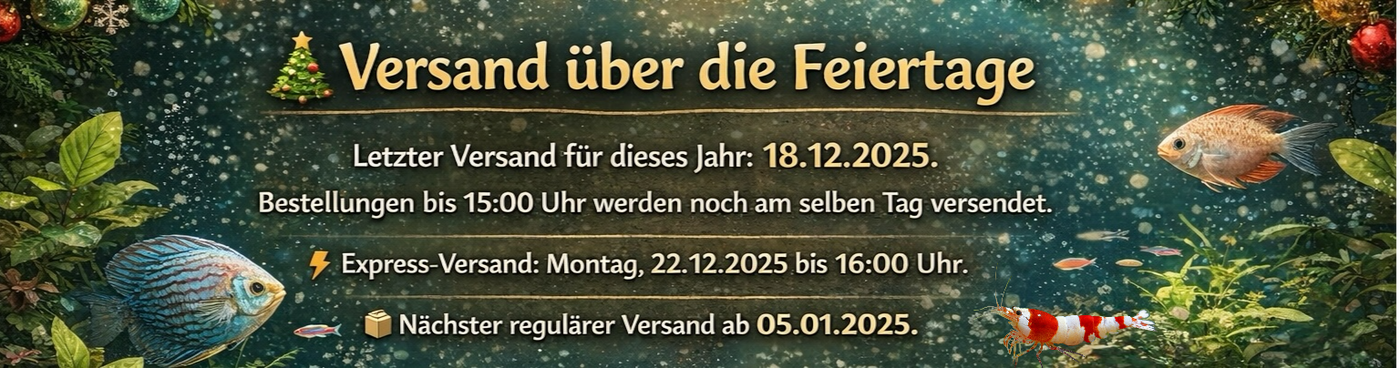 Photoroom_20251218_082526.png__PID:352c70eb-ba5e-4fbf-928d-fea568145d2e