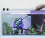 Aquatlantis Fischnetz - Water - Plants