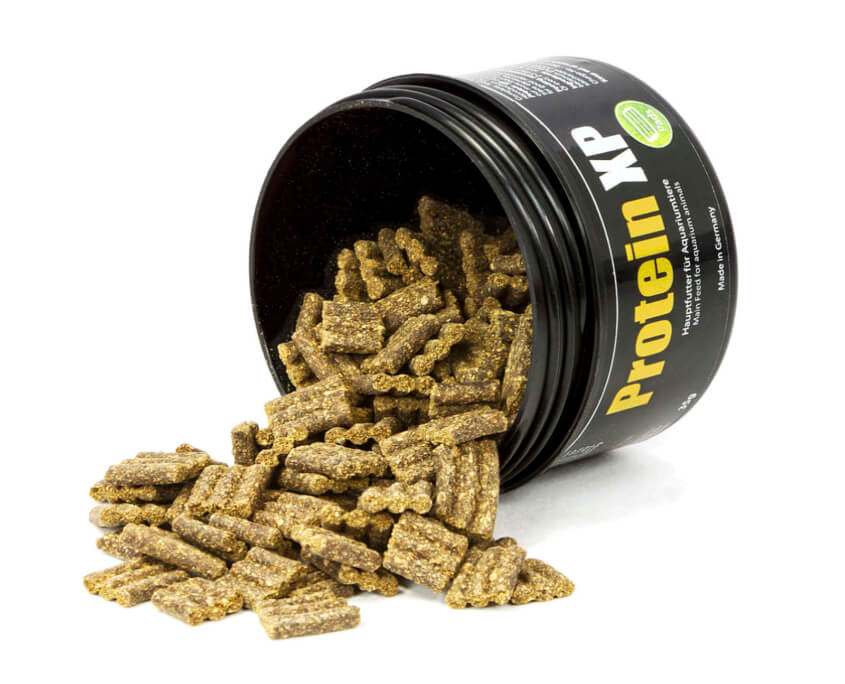 GlasGarten Protein XP – 35 g - Water - Plants