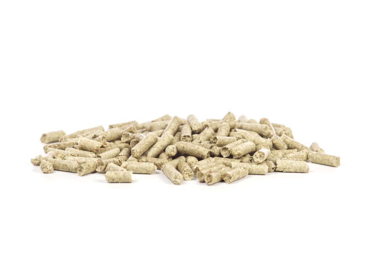 GlasGarten Shrimp Snacks Snow Flakes – 30 g - Water - Plants