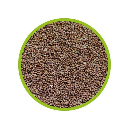HOBBY Artemia-Eier – 20 ml Zysten für Lebendfutter - Water - Plants