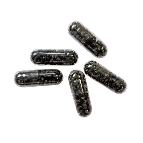 Hobby Planaria X Special Bait – Köder für Planarienfalle – 5 Stück - Water - Plants