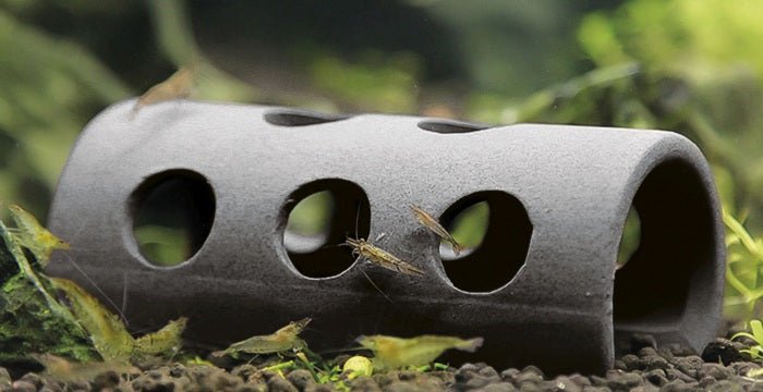 Papillon Garnelen-Tunnel – 8 × 4 × 3 cm Aquariumversteck - Water - Plants