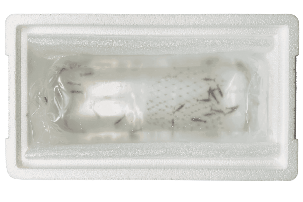 Styroporbox - für den sicheren Versand - Water - Plants