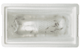 Styroporbox - für den sicheren Versand - Water - Plants
