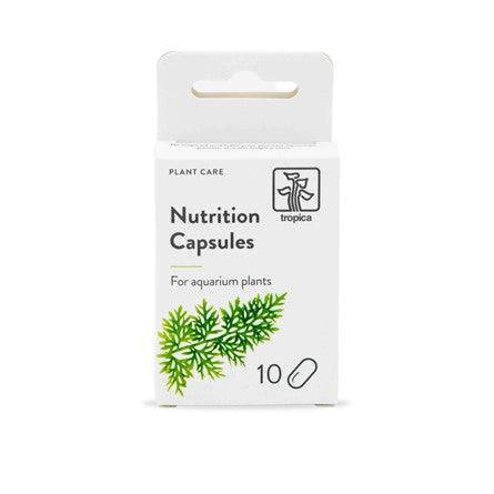 Tropica Nutrition Capsules 10 Stück – Düngekapseln für Aquarienpflanzen - Water - Plants