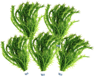 5 Bund Wasserpest - Elodea Densa