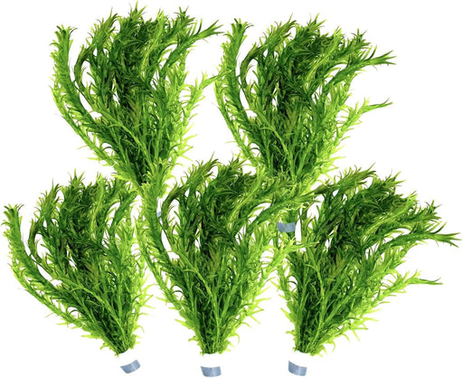 Wasserpest - Elodea Densa im Bund / 5 Bund im Set - Water - Plants
